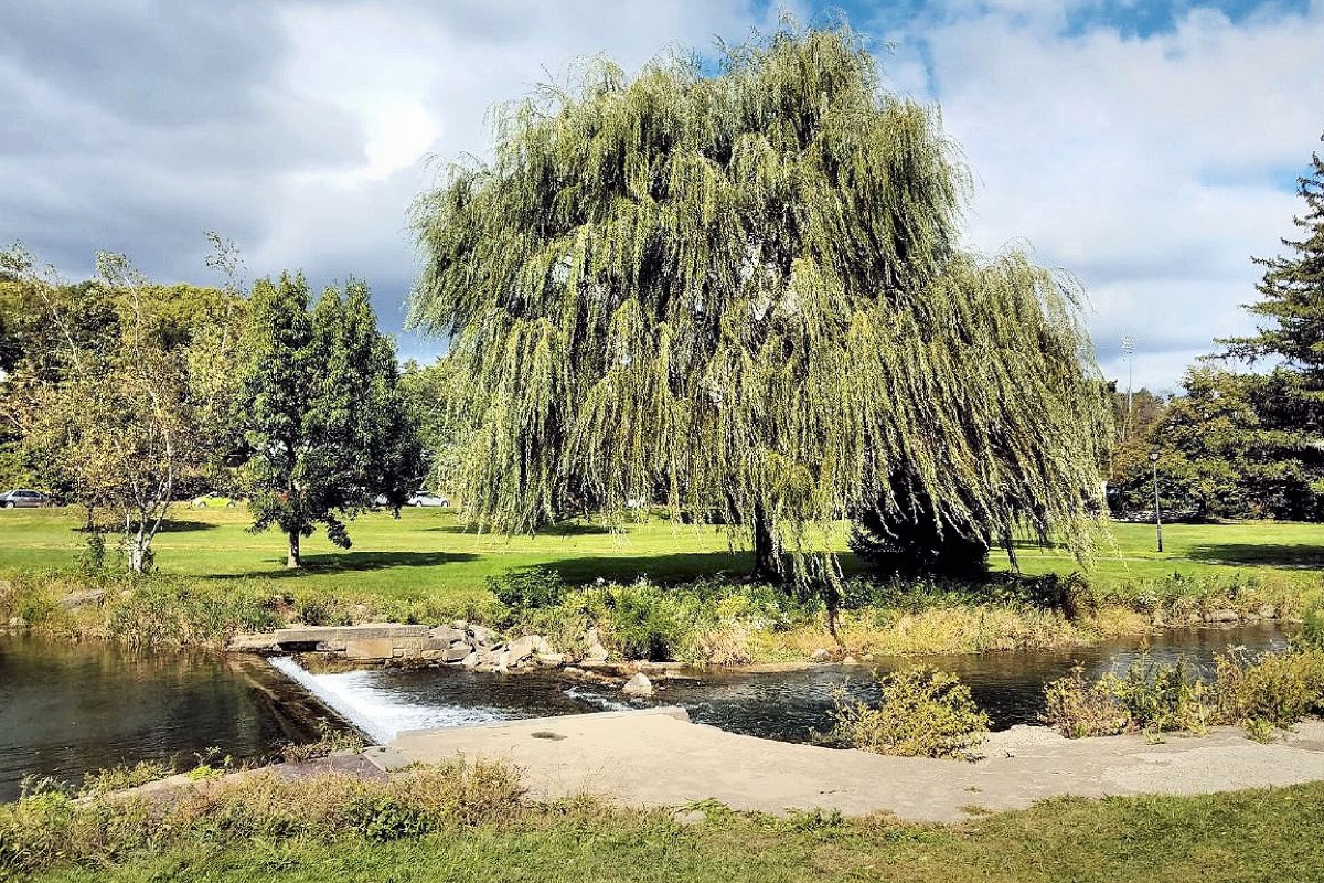 Ways to Celebrate Earth Day in the Lehigh Valley